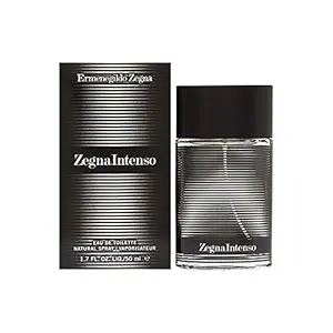 Ermenegildo z.  Zegna Intenso